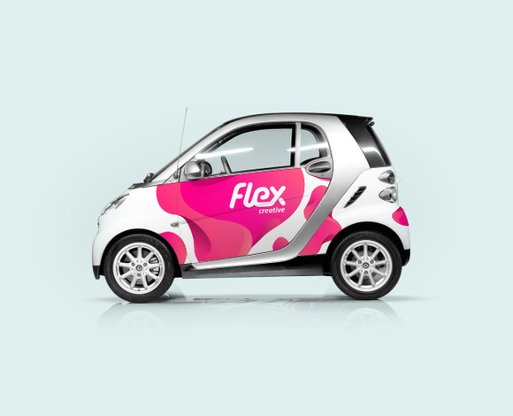 国外优秀FLEX品牌形象VIS设计